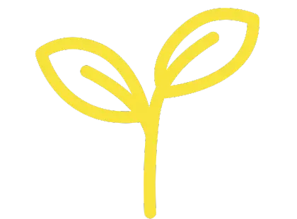 Opportunities for Growth